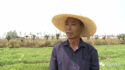 沭阳吃瓜,探寻当地特色美食之旅