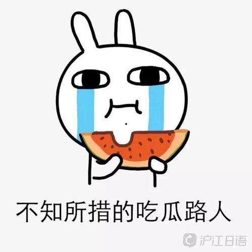 吃瓜日语,轻松掌握日语中的趣味词汇与表达