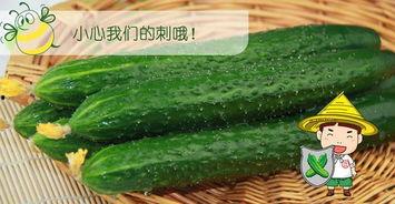 520吃瓜套路,揭秘娱乐圈甜蜜背后的套路与真相