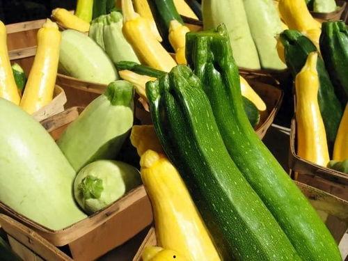 毕节幼专吃瓜,揭秘校园热点背后的真相