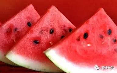 吃瓜中招,揭秘高校选拔背后的故事