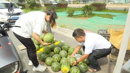 吃15个瓜,畅享15个瓜果的甜蜜时光