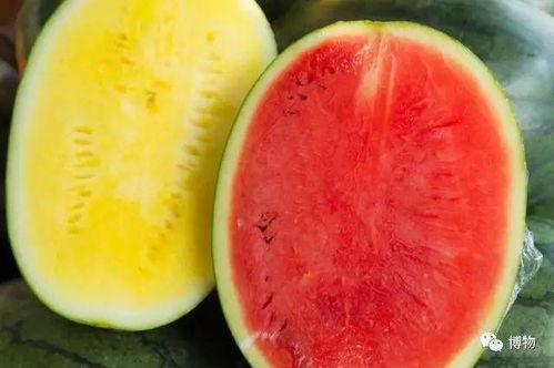 吃瓜高级吃法,解锁高级吃瓜秘籍