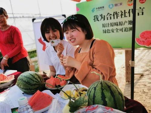 吃瓜邮政,揭秘邮递员背后的故事